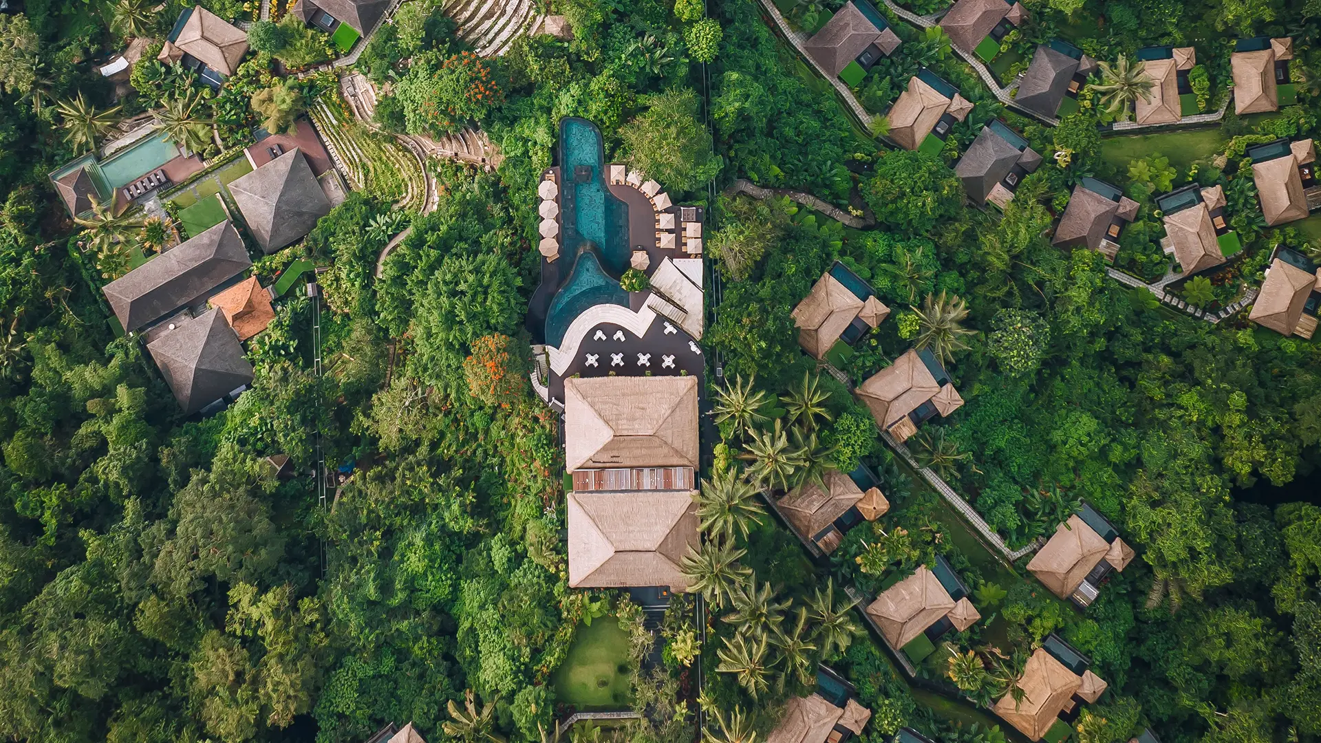 February in Bali: When Nature Softens and Everything Feels Closer