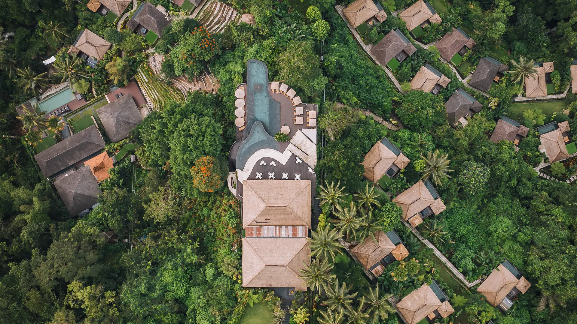 New Beginnings Without Resolutions: A February Reset in Bali