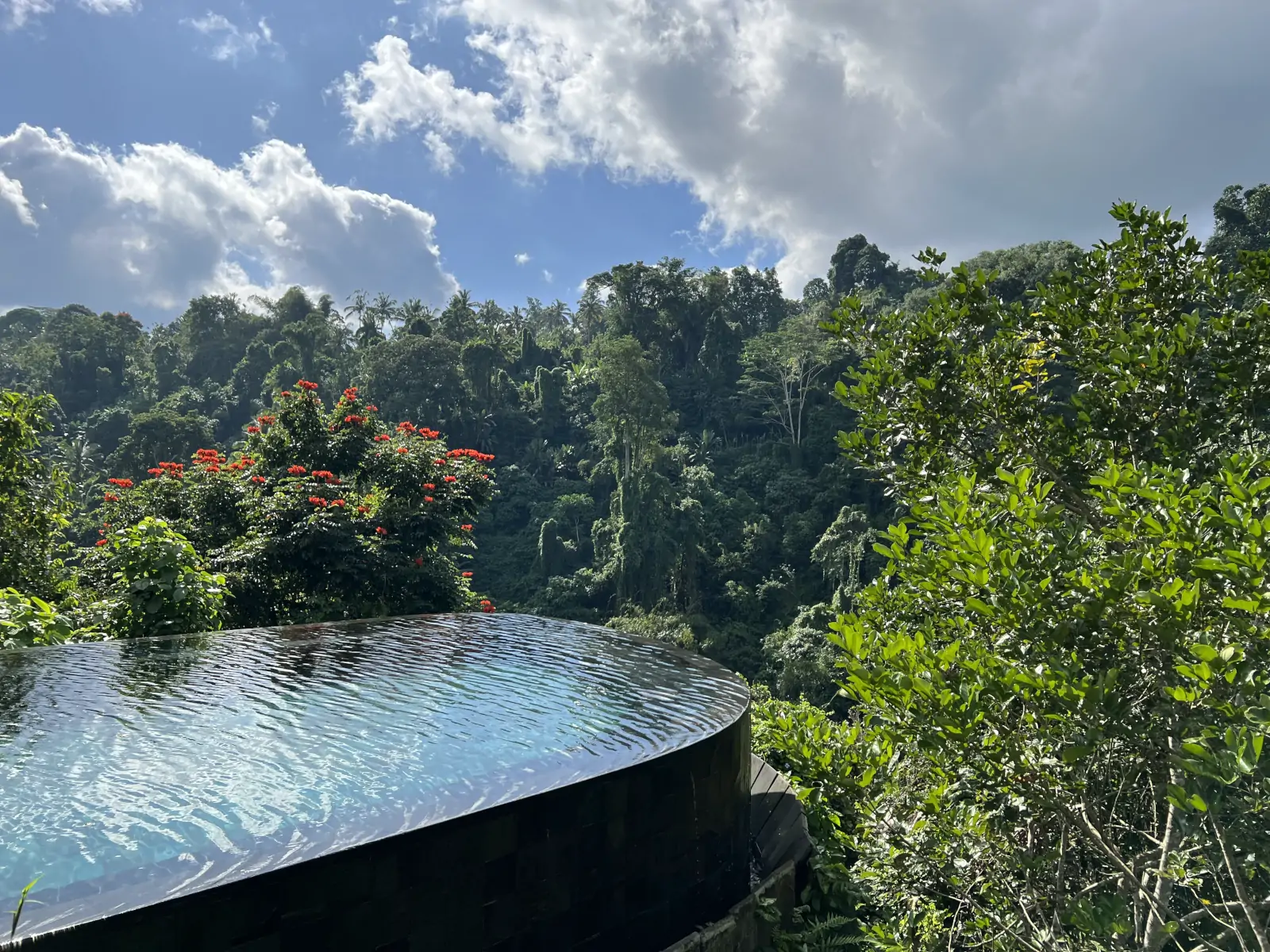 Infinity pool above rainforest canopy at Hanging Gardens of Bali spiritual retreat