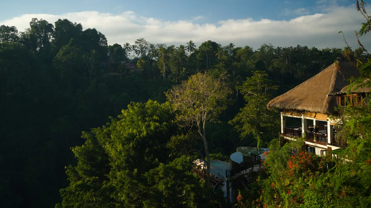 deep jungle valley Ubud Bali layered rainforest immersive environment