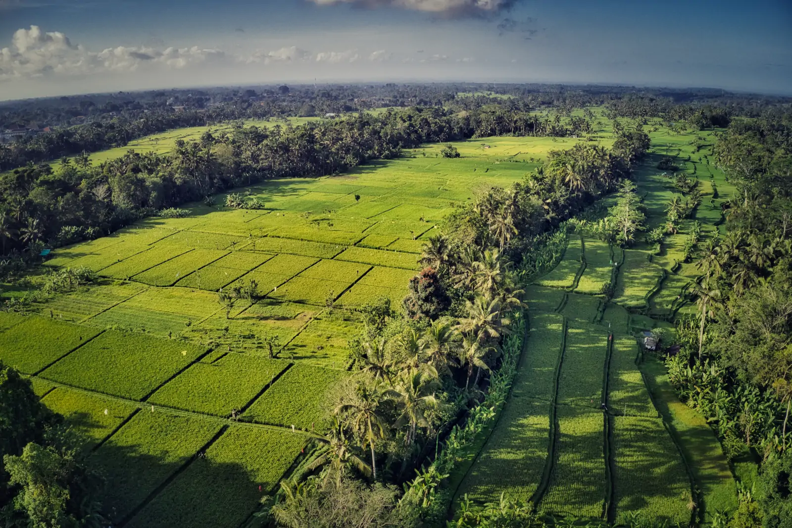 Ubud rice terraces morning Bali slow travel calm scenic landscape
