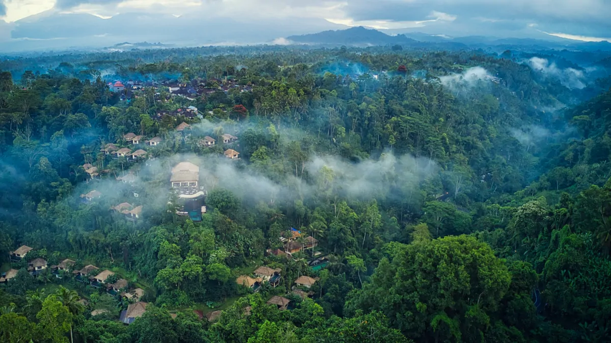 Ubud jungle rainforest Bali quiet immersive nature valley peaceful stay