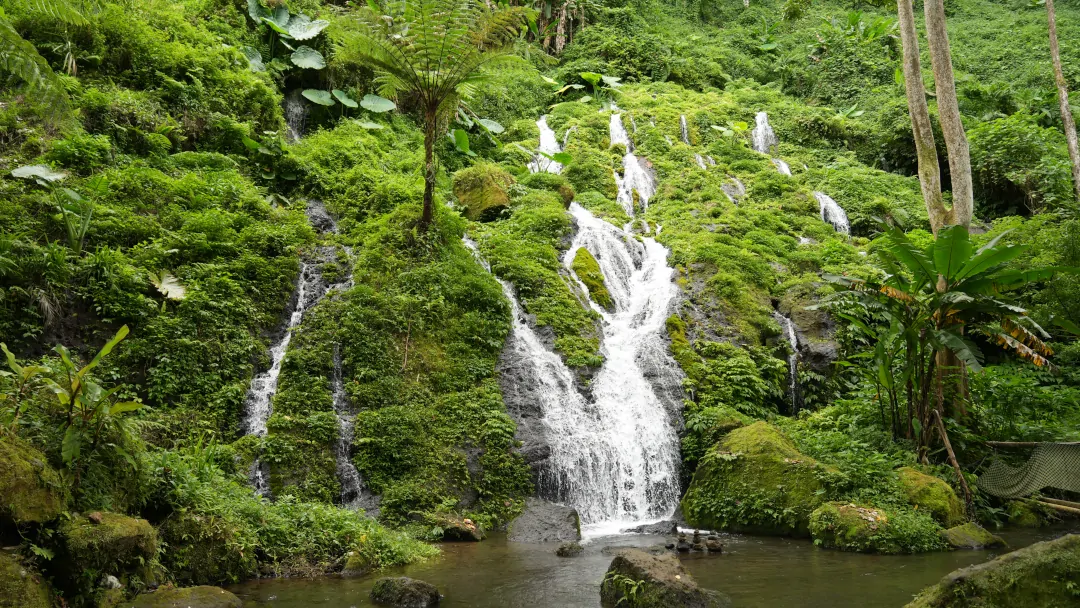 Healing power of water rainforest waterfall Ubud Bali