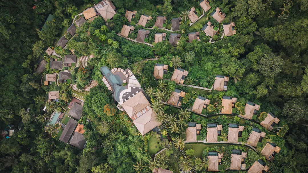 Luxury resort immersed in nature Ubud Bali rainforest hotel