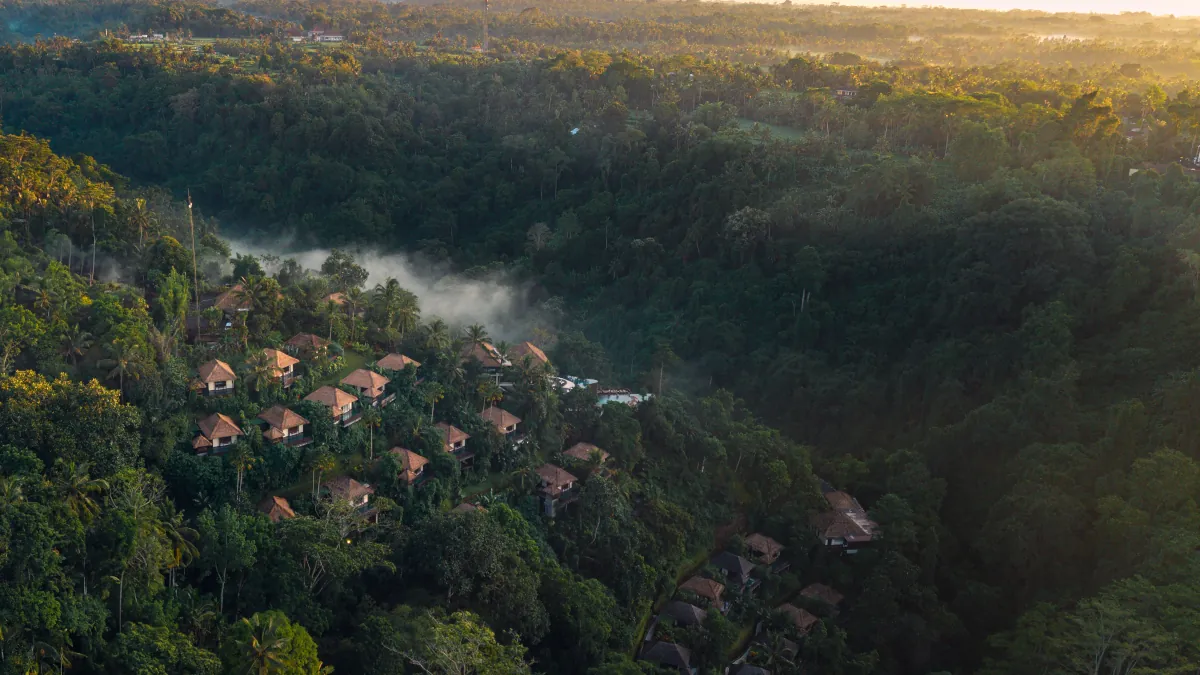 Morning mist over the rainforest in Ubud Bali