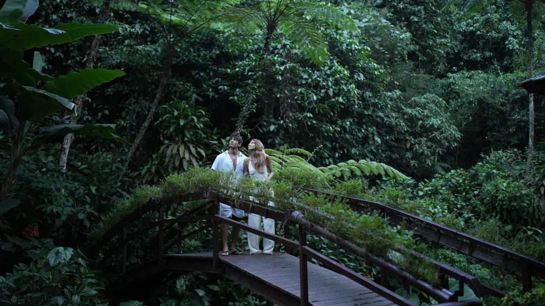 Nature wellness Bali rainforest healing environment Ubud